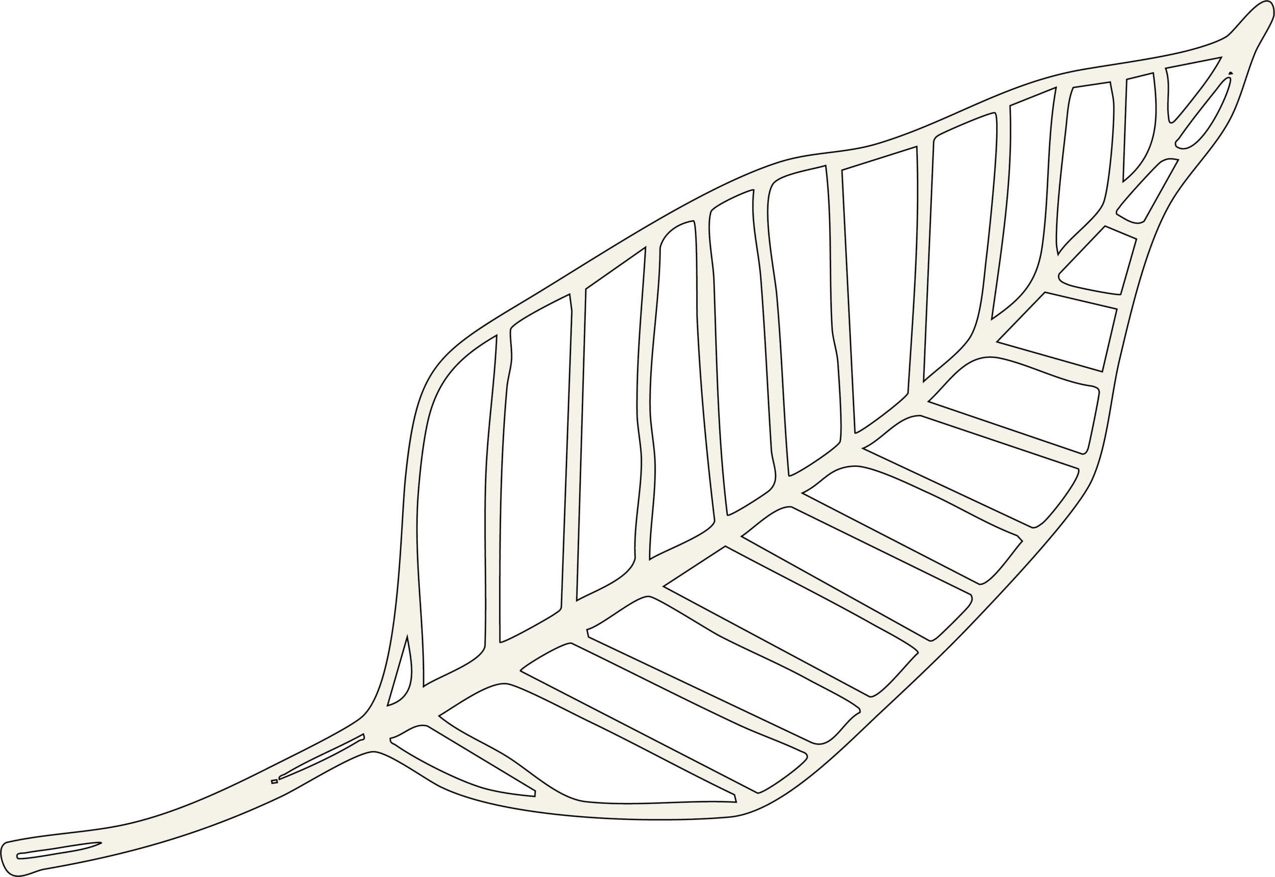 pureindoleaf
